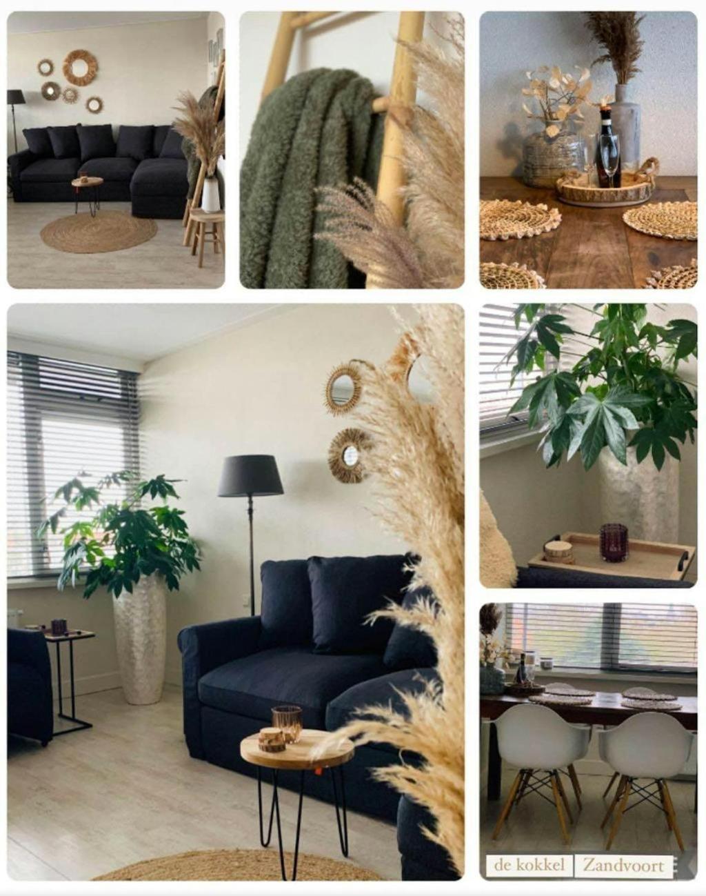 Appartement De Kokkel Free Parking Zandvoort Dış mekan fotoğraf